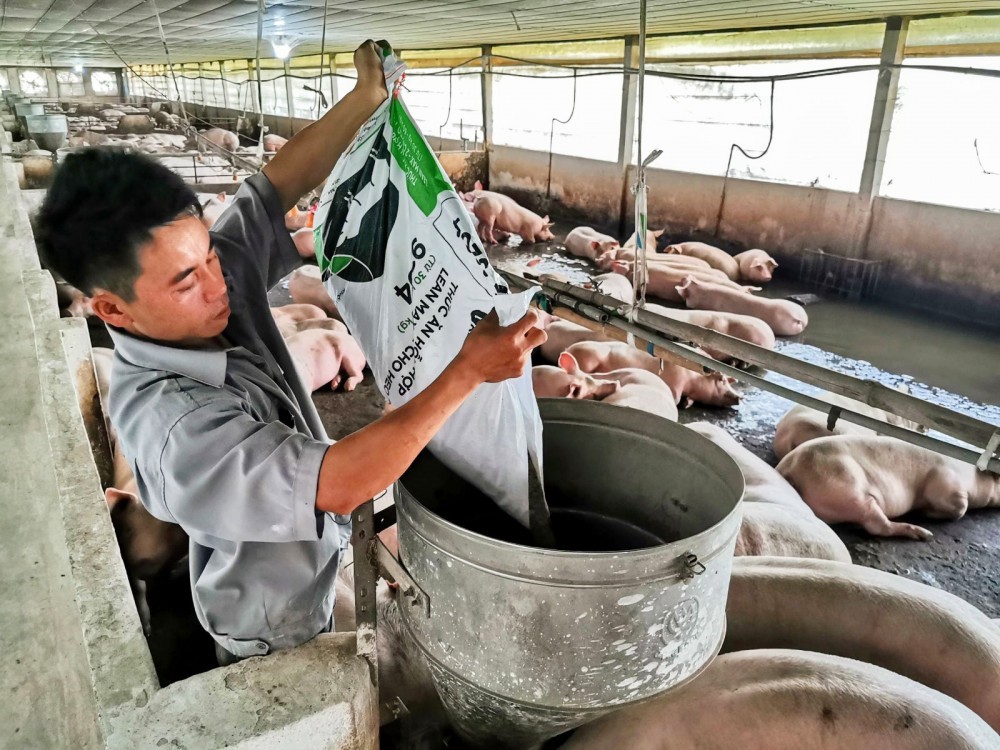Connecting and providing clean livestock products to the chain of convenience stores