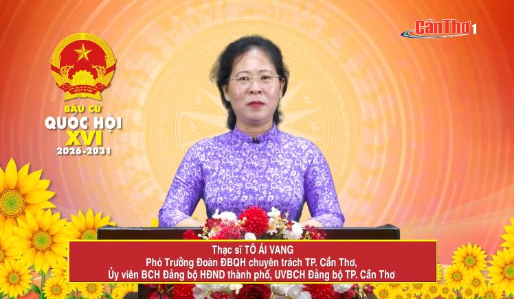 Chương trình hành động của Bà Tô Ái Vang